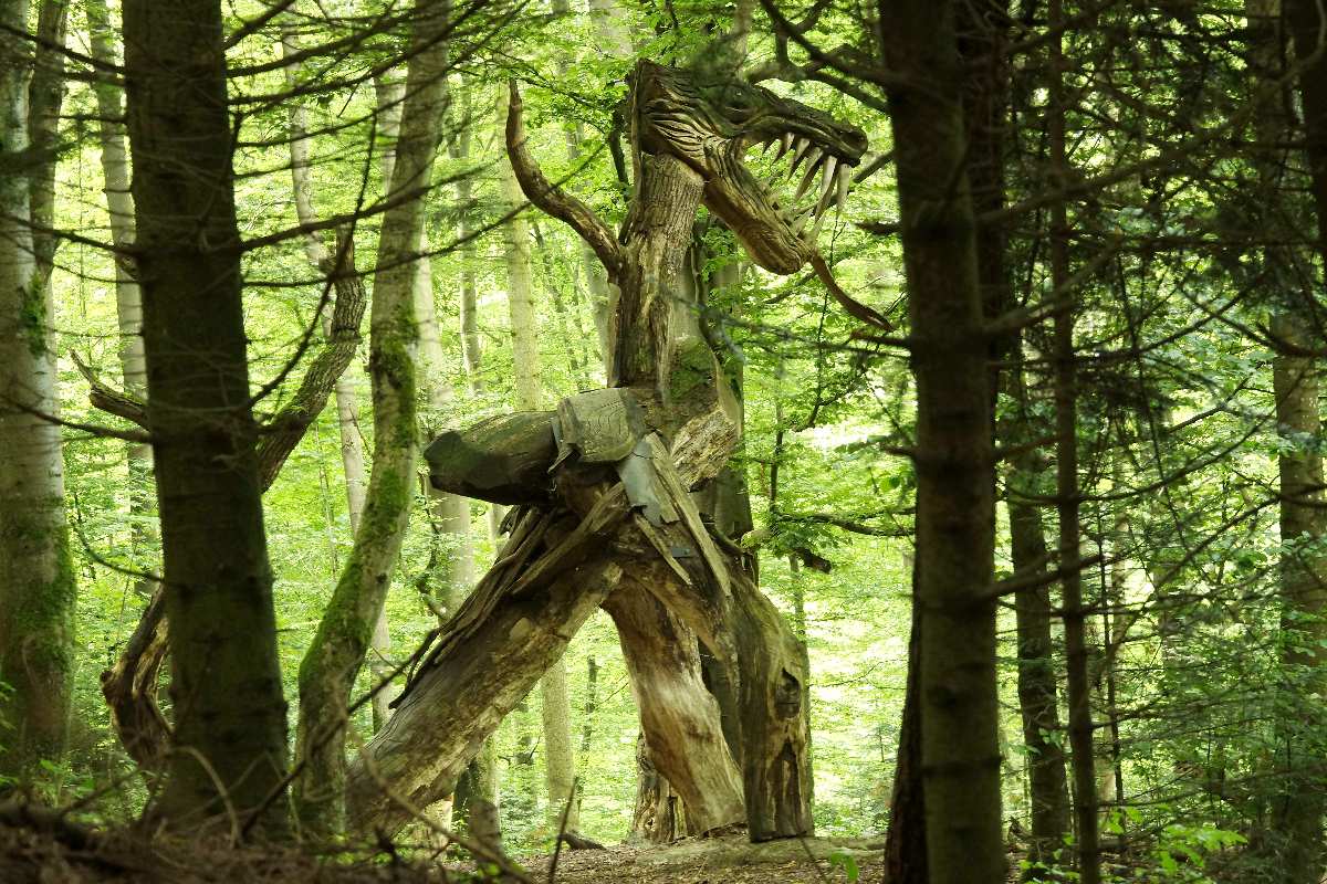 WaldMenschen, 2014, thomas rees 26