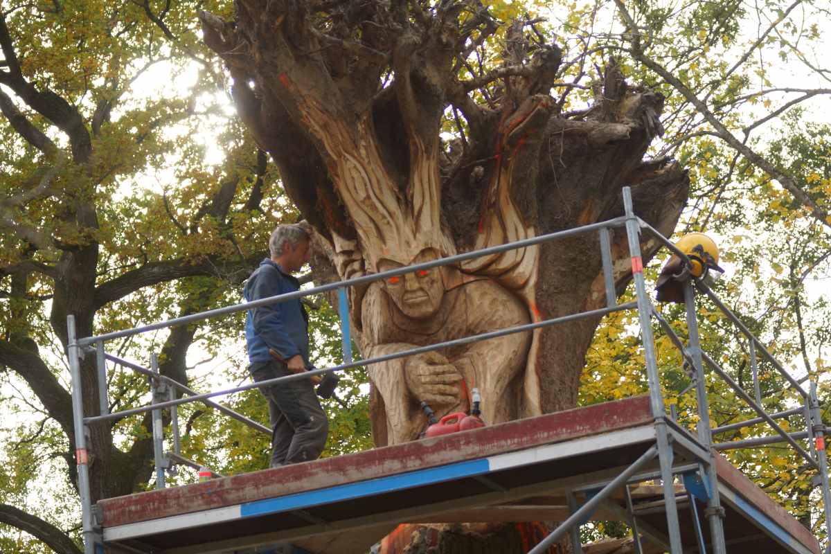 der Anfang Oktober 2015 036