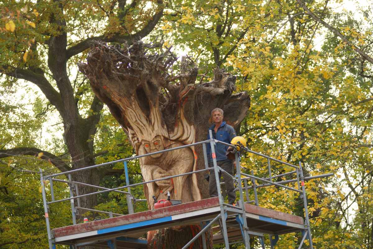 der Anfang Oktober 2015 039