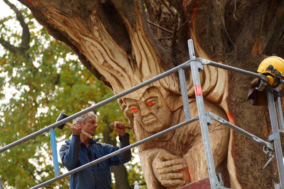 der Anfang Oktober 2015 044