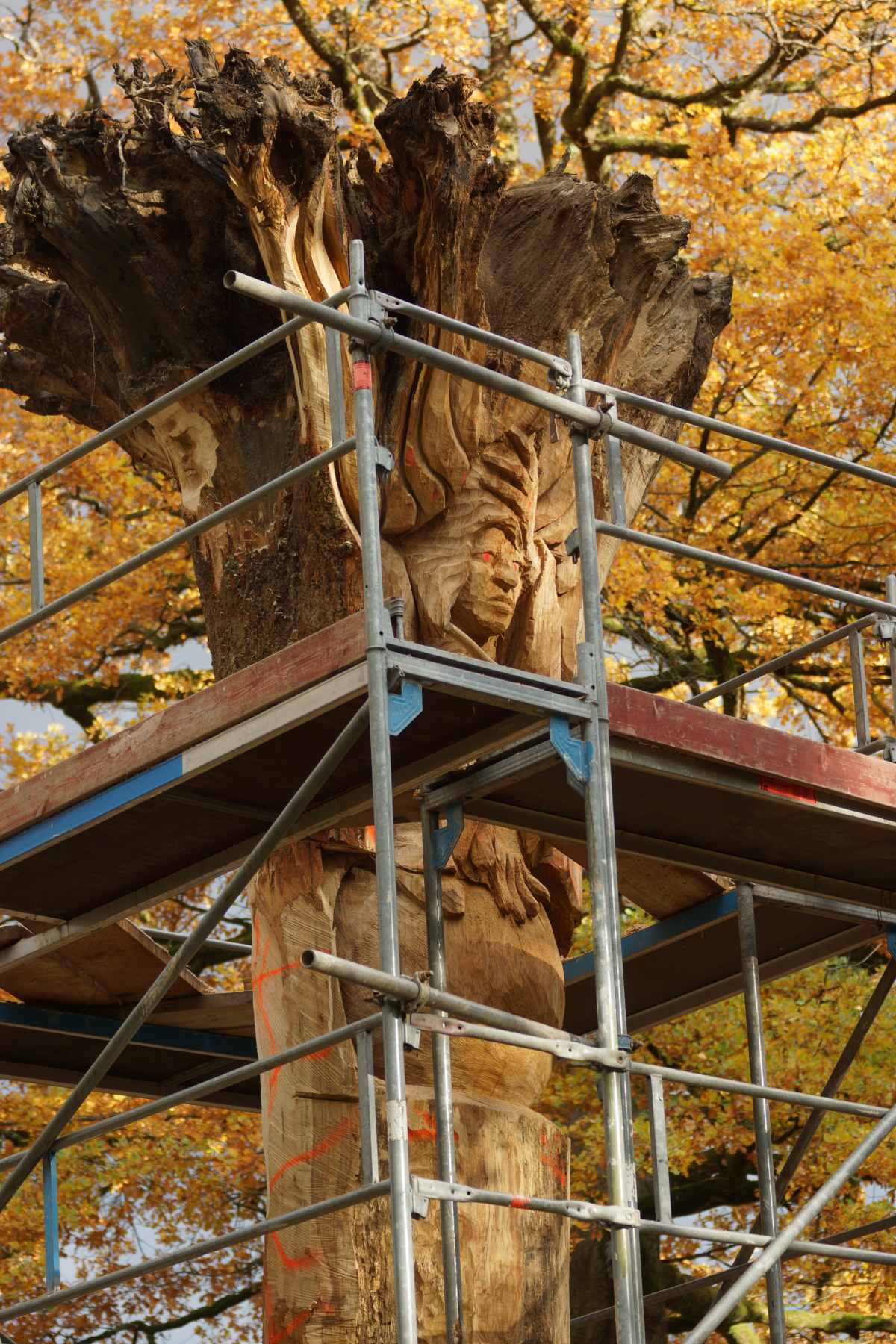 der Anfang Oktober 2015 057