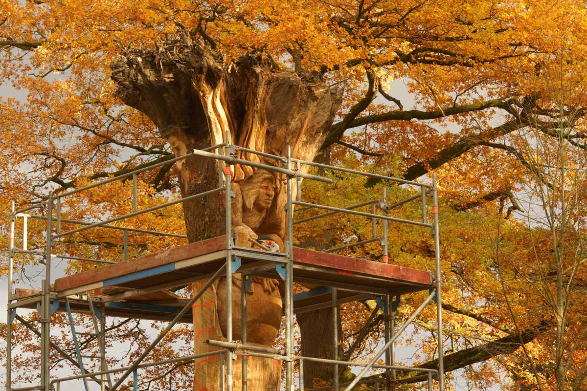 der Anfang Oktober 2015 059