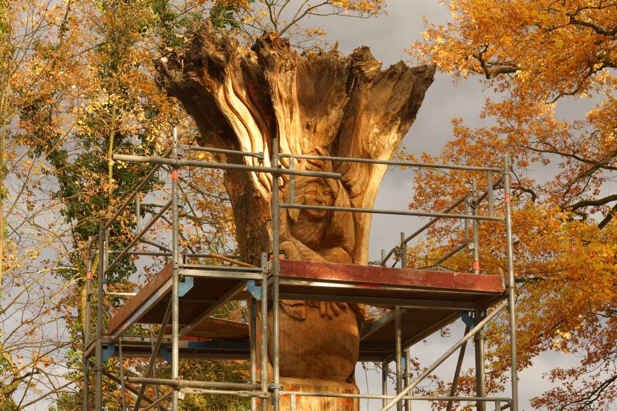 der Anfang Oktober 2015 061