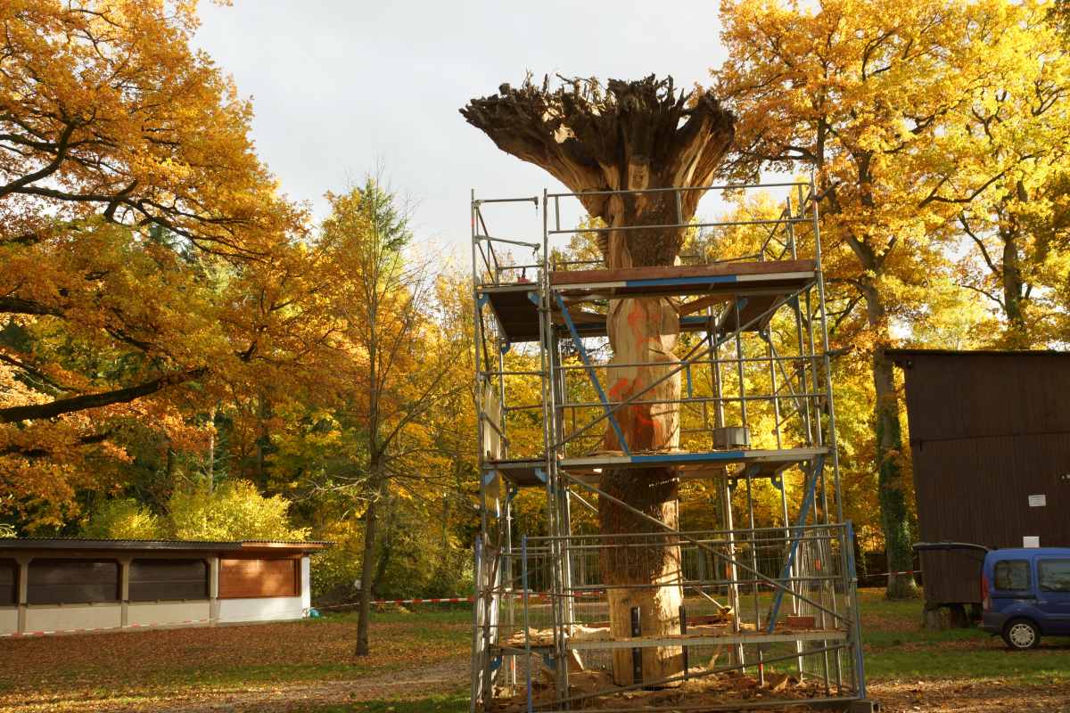 der Anfang Oktober 2015 067