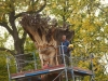 der Anfang Oktober 2015 039