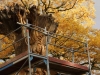 der Anfang Oktober 2015 056