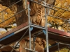 der Anfang Oktober 2015 057