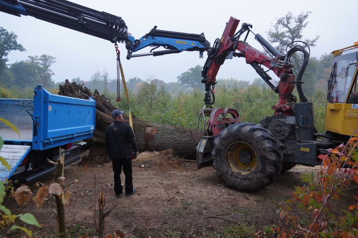 Transport und das Aufrichtenf 003