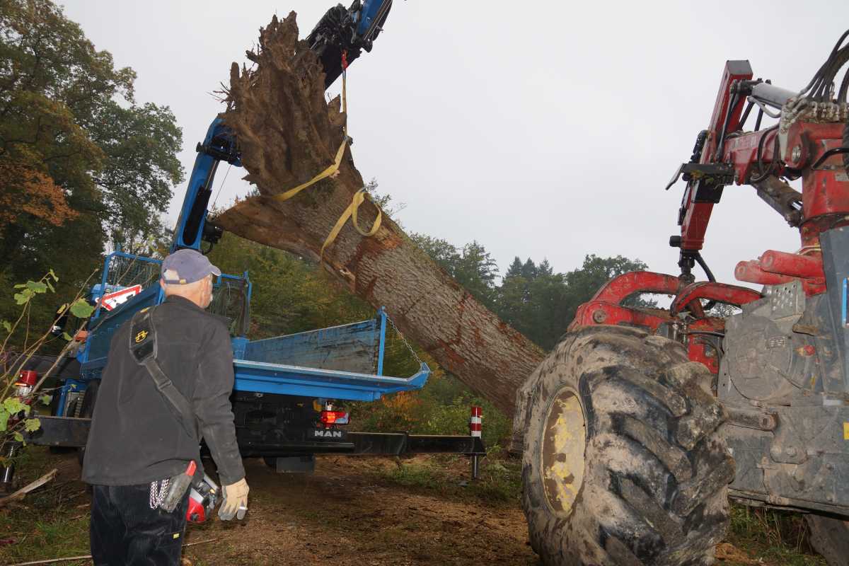 Transport und das Aufrichtenf 004