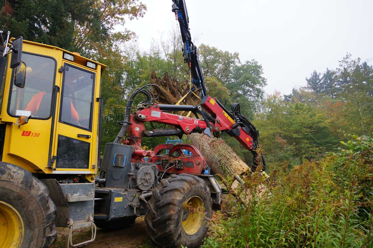 Transport und das Aufrichtenf 005