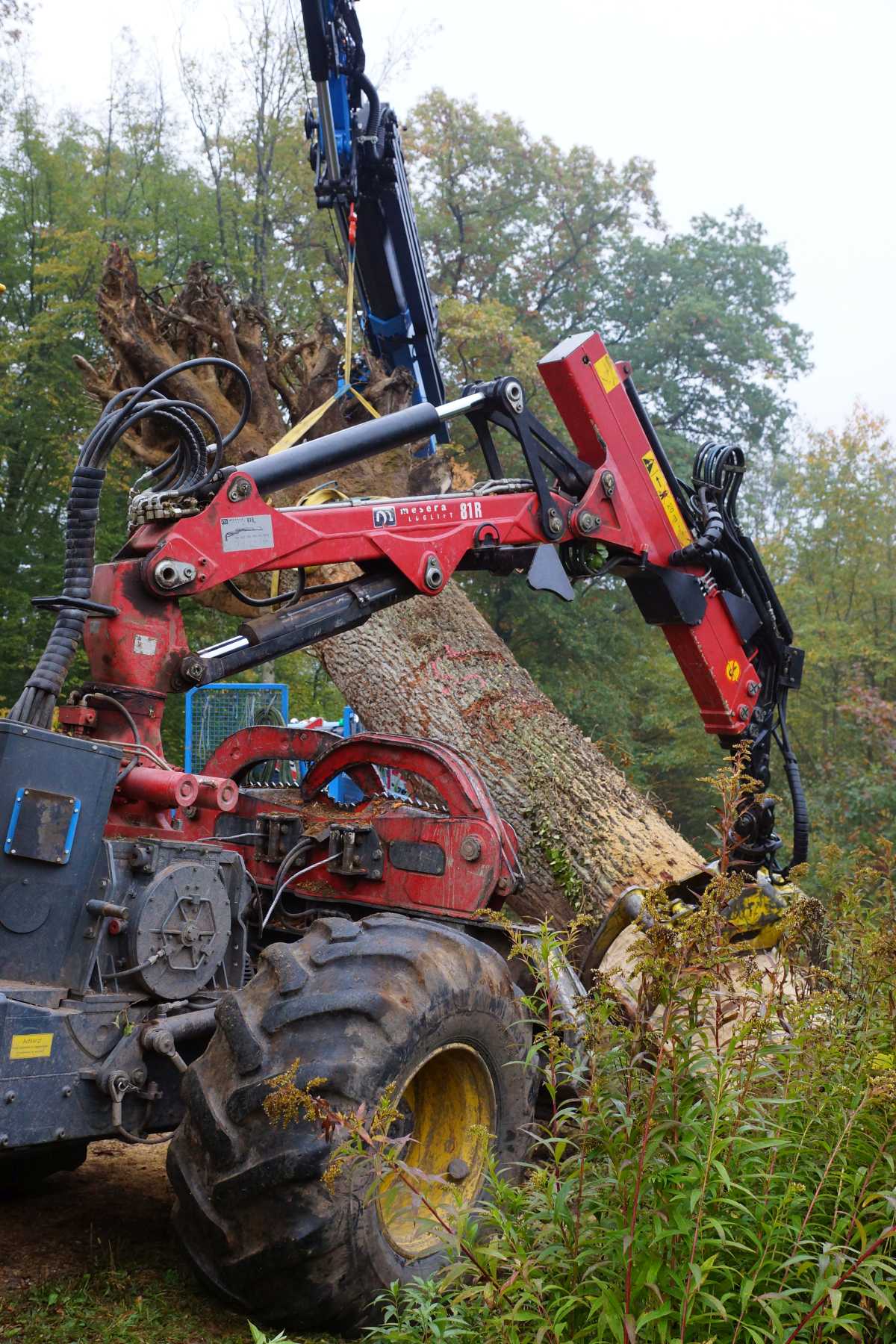 Transport und das Aufrichtenf 006