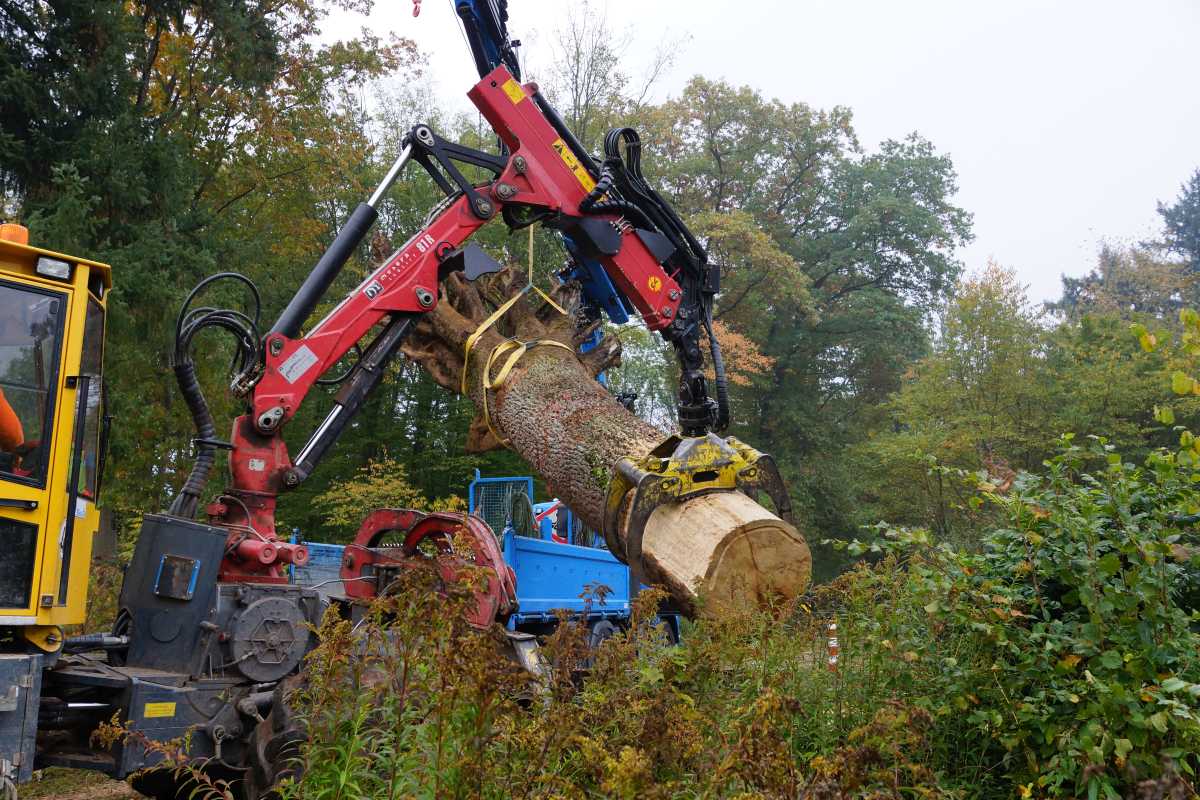 Transport und das Aufrichtenf 007