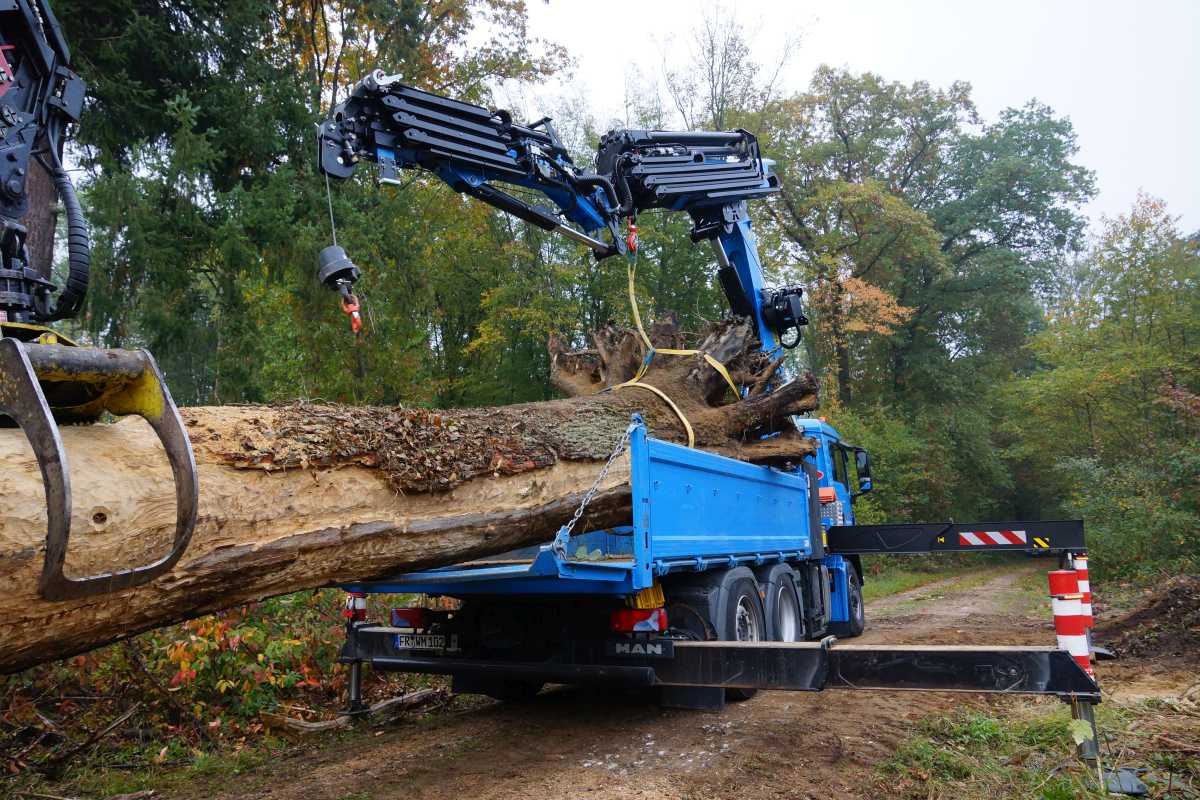 Transport und das Aufrichtenf 009