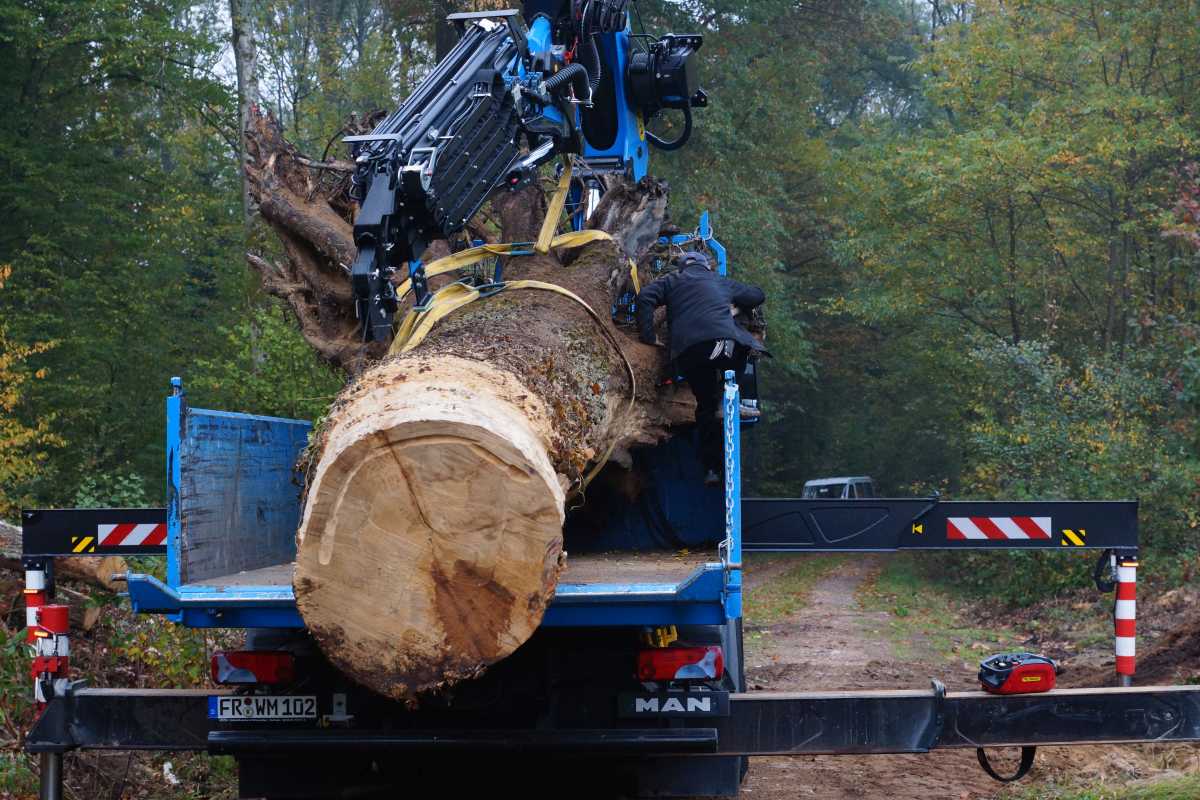 Transport und das Aufrichtenf 010