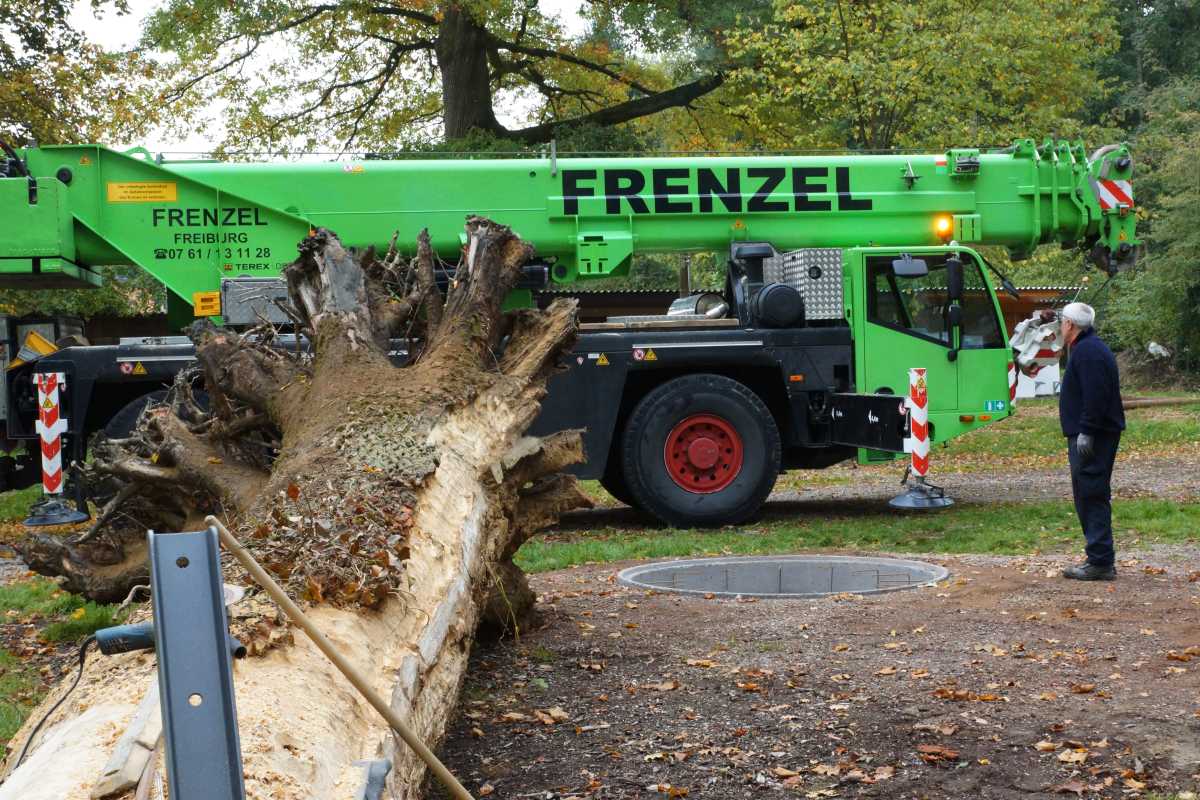 Transport und das Aufrichtenf 013