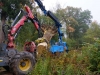Transport und das Aufrichtenf 008