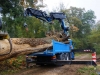 Transport und das Aufrichtenf 009