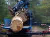 Transport und das Aufrichtenf 010