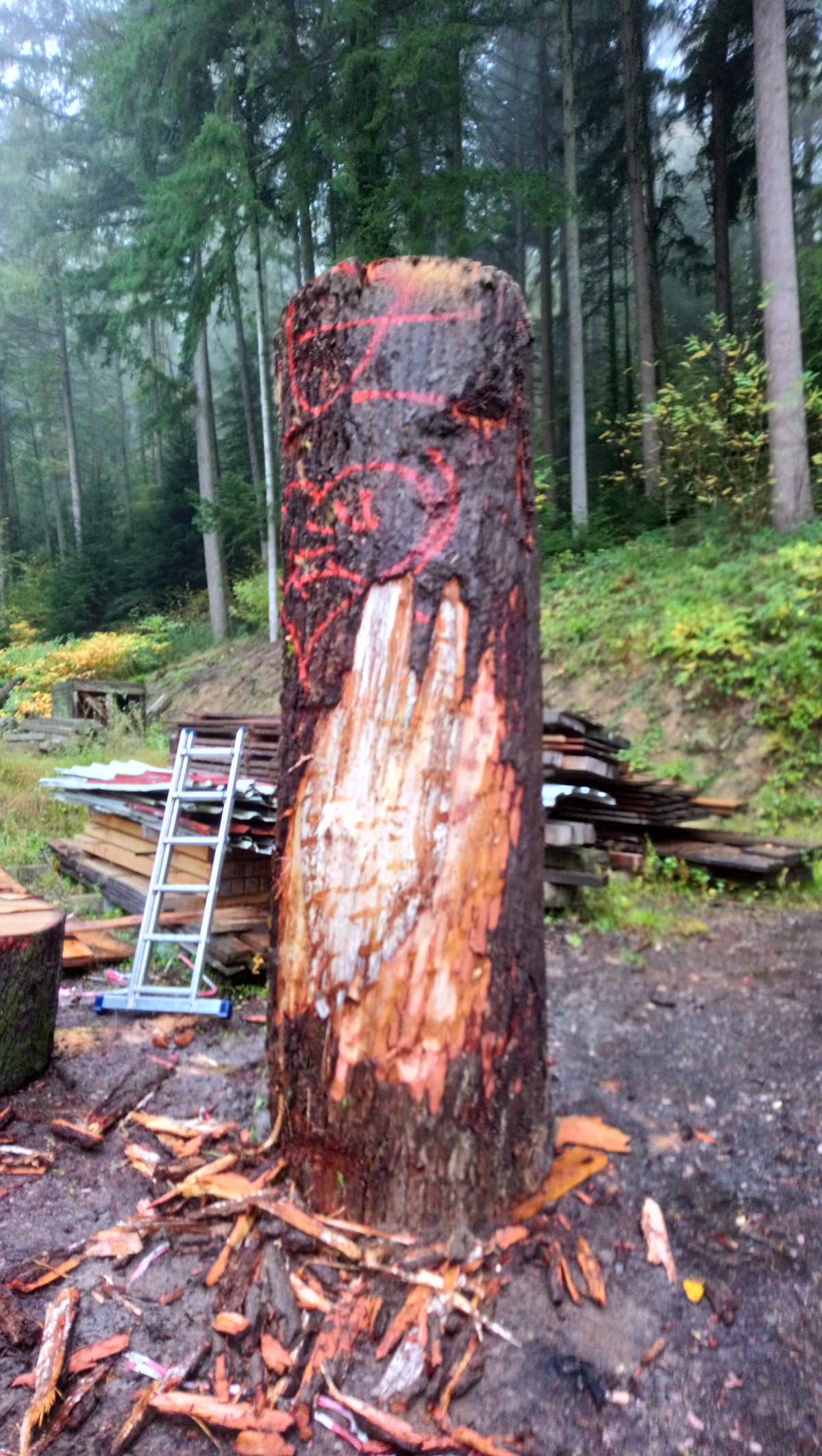 Freiburger mit Herz 08