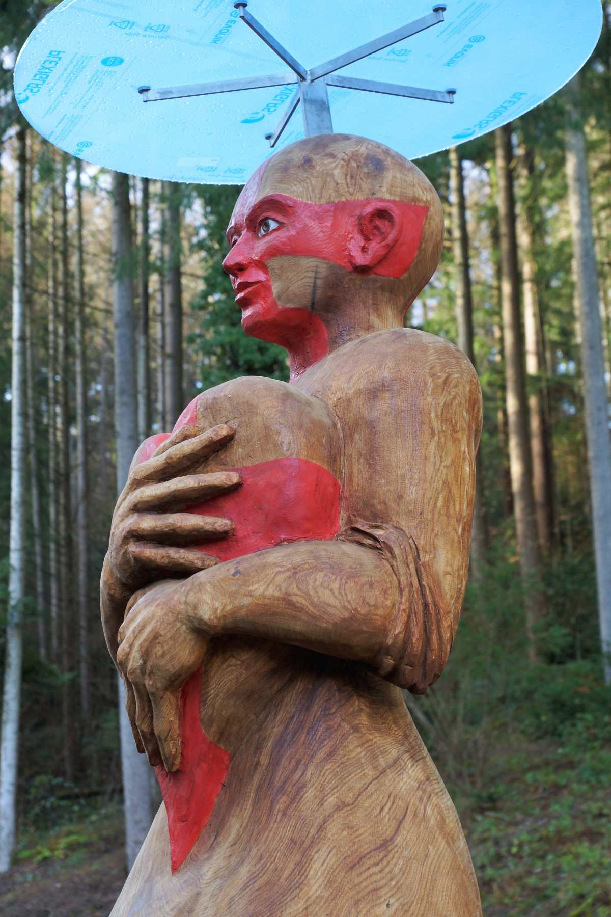 Freiburger mit Herz 31