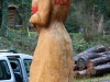 Freiburger mit Herz 56
