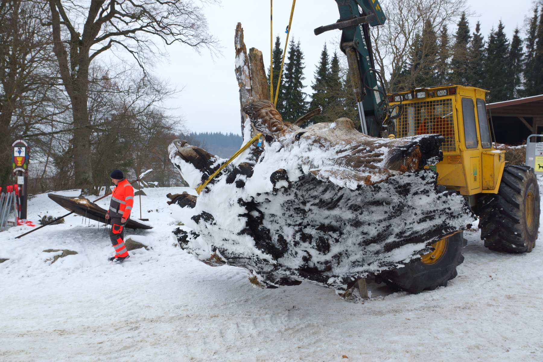 Gerichtseiche, Zerstörung, thomas rees 41