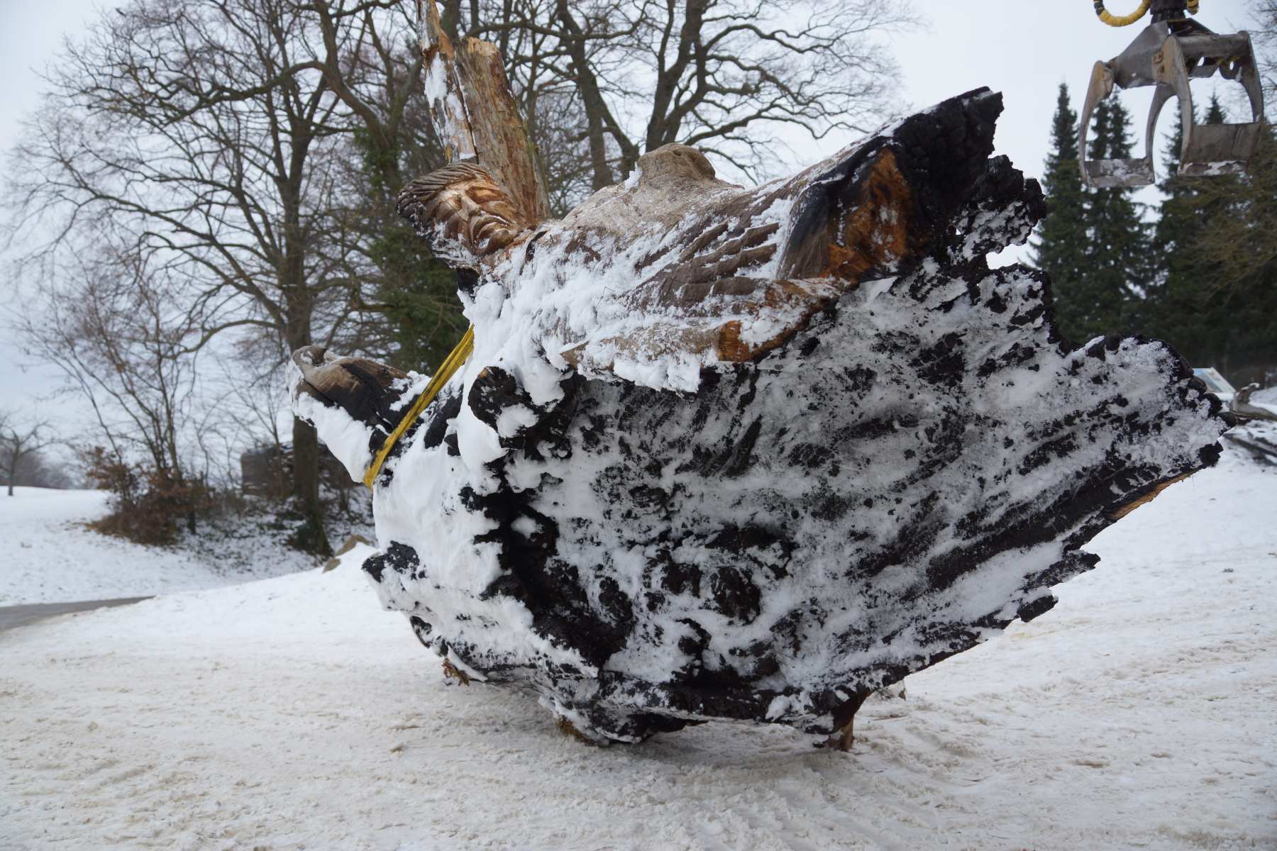 Gerichtseiche, Zerstörung, thomas rees 43
