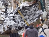 Gerichtseiche, Zerstörung, thomas rees 53