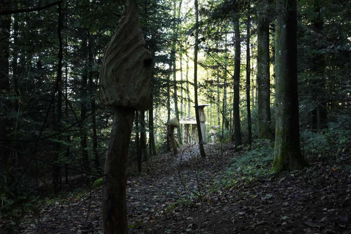 Hexenring , der Pfad, thomas rees 04