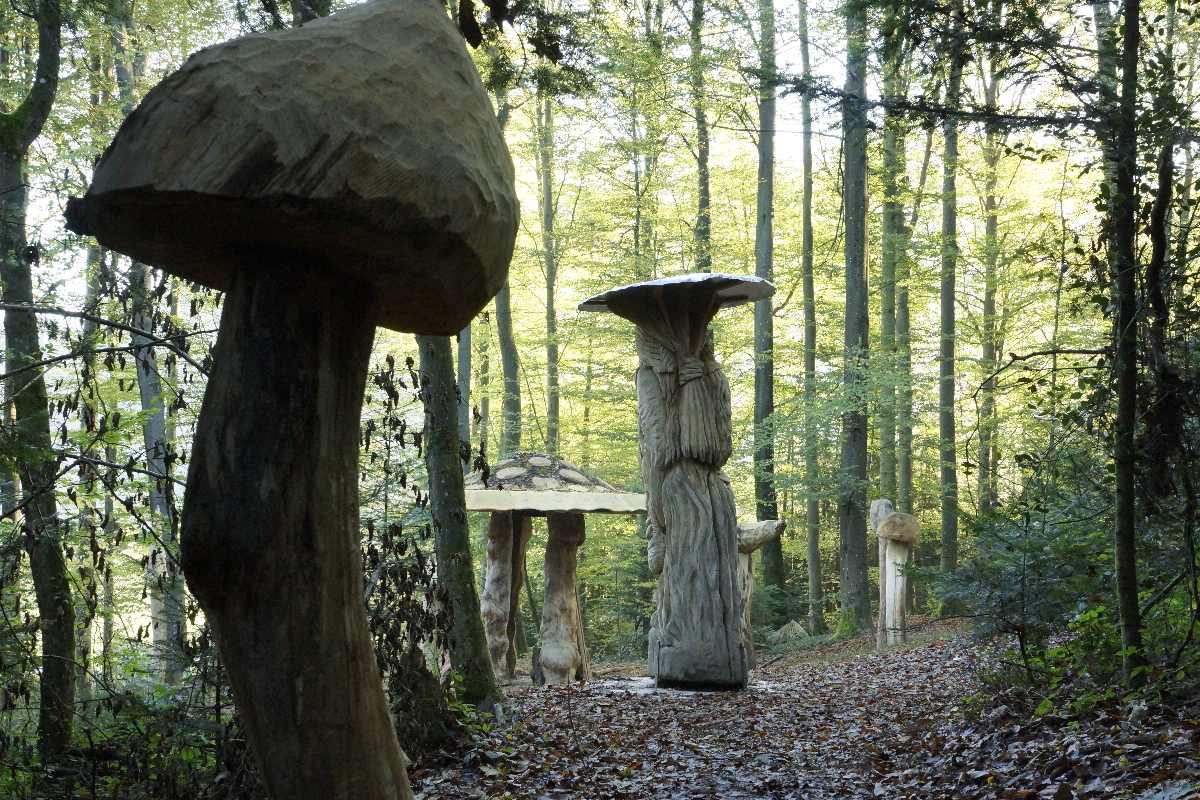 Hexenring , der Pfad, thomas rees 05