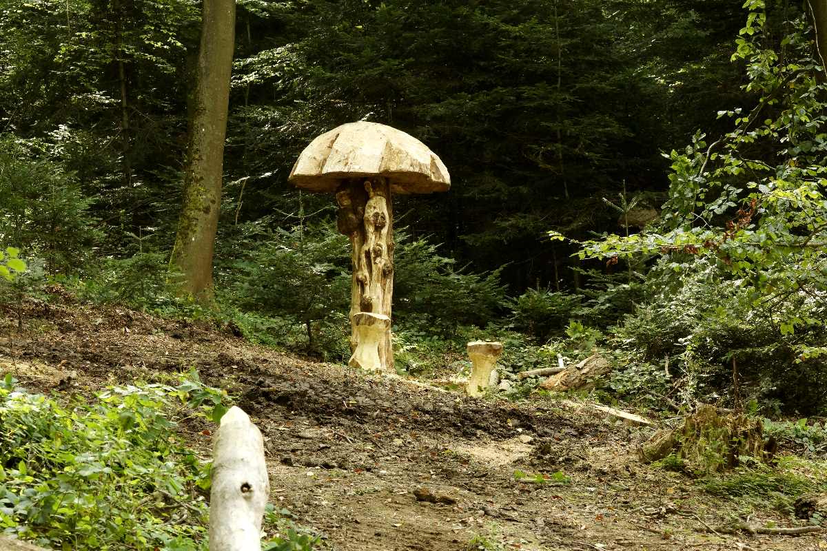 Hexenring , der Pfad, thomas rees 103