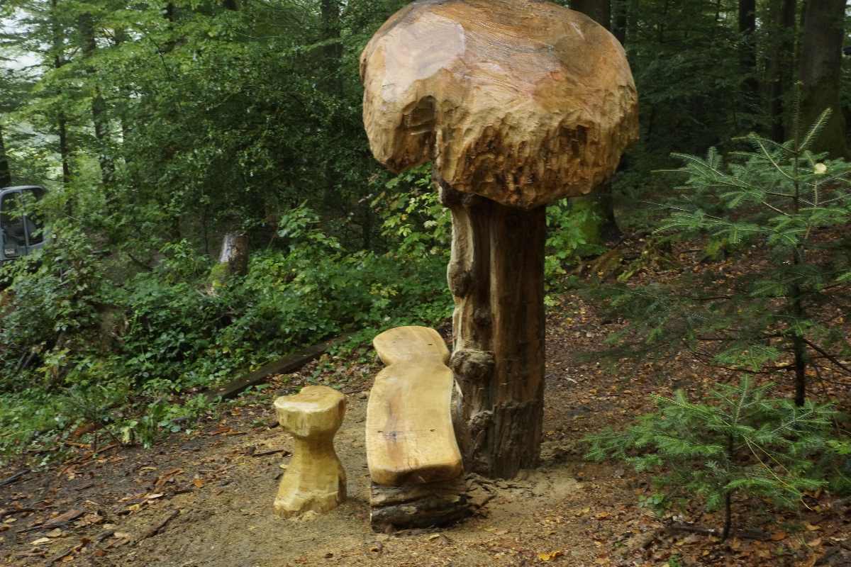 Hexenring , der Pfad, thomas rees 110