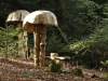 Hexenring , Pfad, thomas rees 30