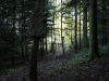 Hexenring , der Pfad, thomas rees 04