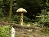 Hexenring , der Pfad, thomas rees 103