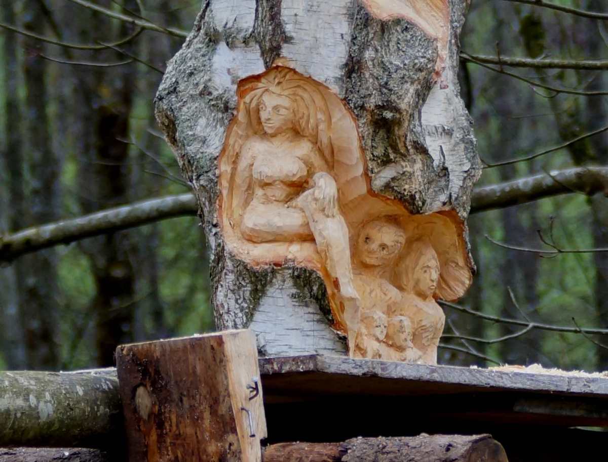 Bild1