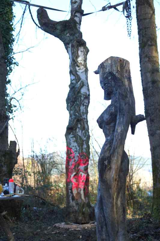 Lebensbaum 001