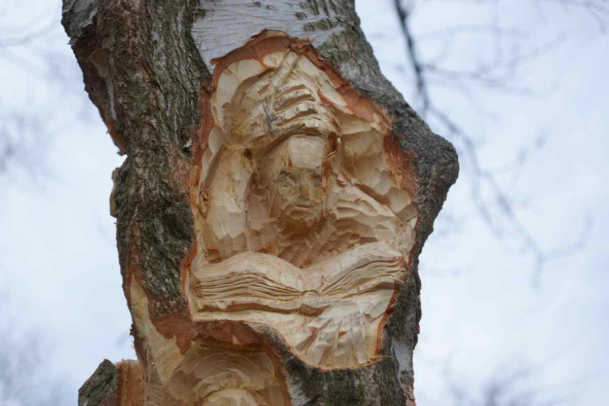 Lebensbaum 004