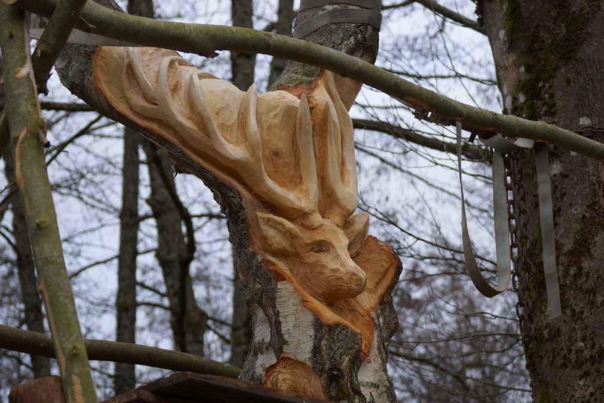Lebensbaum 025