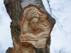 Lebensbaum 004