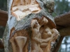 Lebensbaum 016