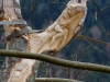 Lebensbaum 043