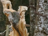 Lebensbaum 055