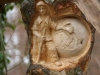 Lebensbaum 081