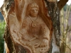 Lebensbaum 085