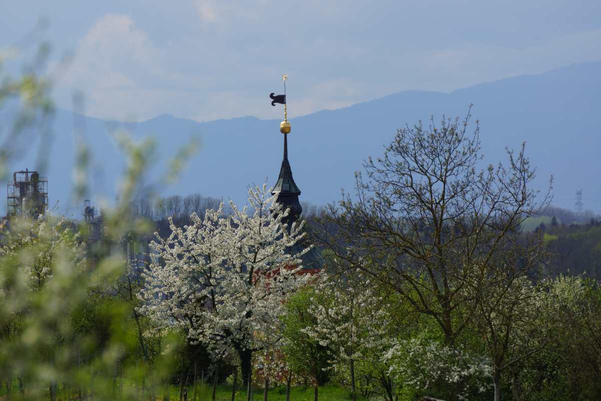 Merdinger Versuchung, Entstehung 030