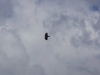 Merdinger Versuchung, Entstehung 027