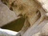 Merdinger Versuchung, Entstehung 029
