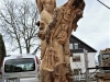 Merdinger Versuchung. k