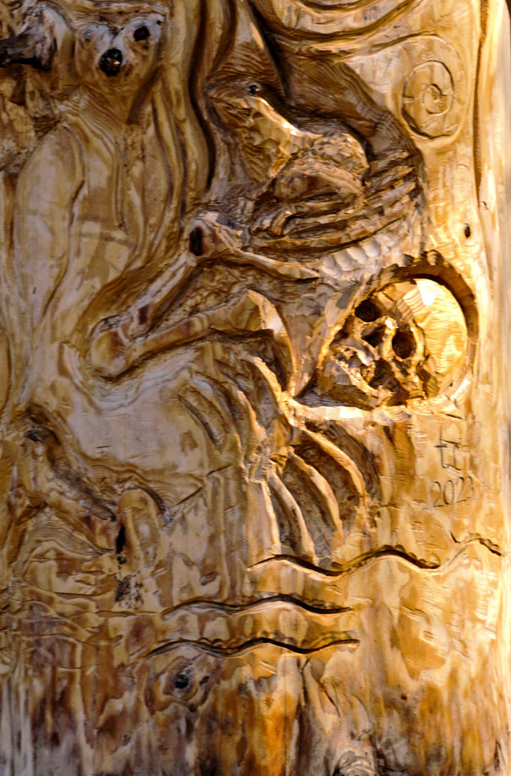 DSC02331aek